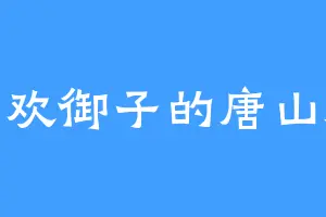 喜欢御子的唐山海