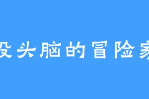 没头脑的冒险家