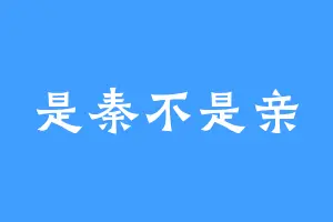 是秦不是亲