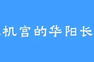 中天机宫的华阳长公主
