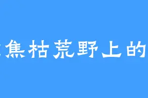 做焦枯荒野上的雨