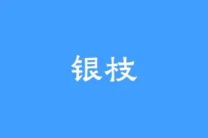 银枝