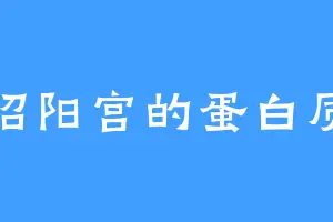 昭阳宫的蛋白质