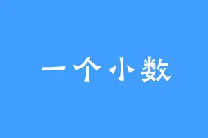 一个小数