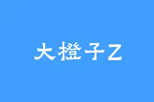 大橙子Z