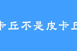 卡丘不是皮卡丘