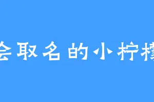 不会取名的小柠檬精