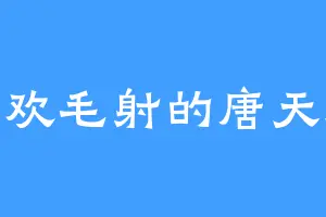 喜欢毛射的唐天逸