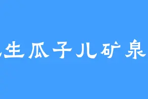 花生瓜子儿矿泉水