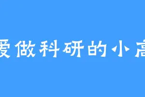 爱做科研的小高