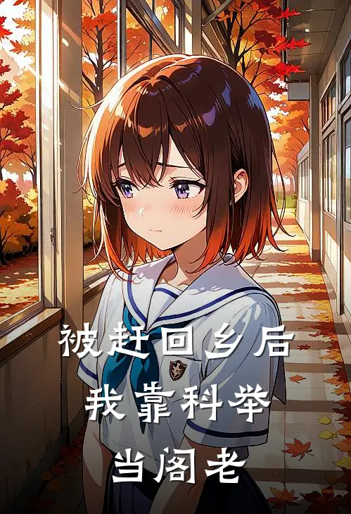 被赶回乡后，我靠科举当阁老