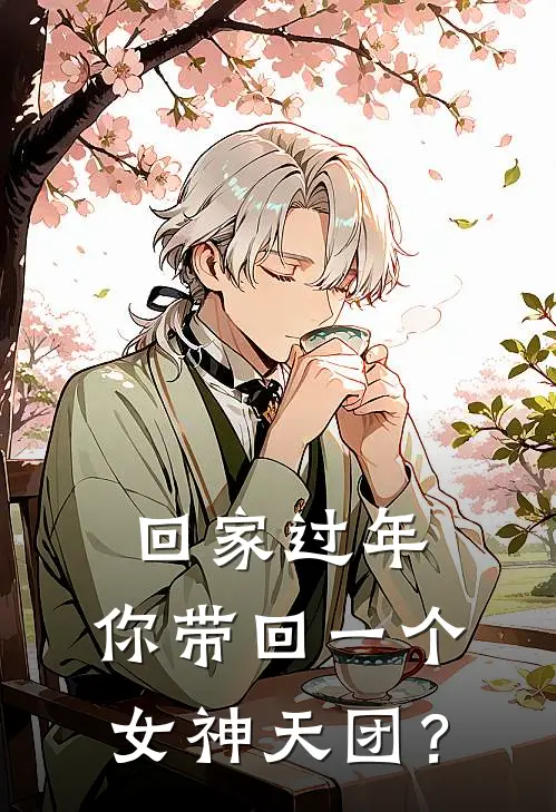 回家过年，你带回一个女神天团？陈默苏清冷最新好看小说推荐_完本小说免费回家过年，你带回一个女神天团？(陈默苏清冷)