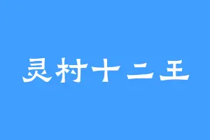 灵村十二王