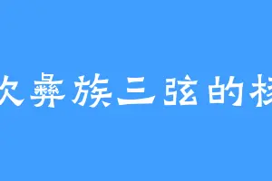 喜欢彝族三弦的杨恬