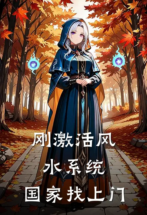 刚激活风水系统，国家找上门