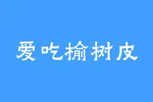 爱吃榆树皮