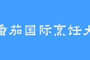 炒番茄国际烹饪大师