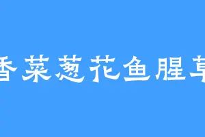 香菜葱花鱼腥草