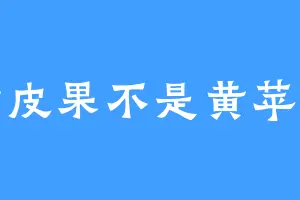 黄皮果不是黄苹果