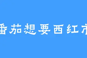 番茄想要西红市