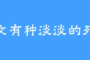 写文有种淡淡的死感