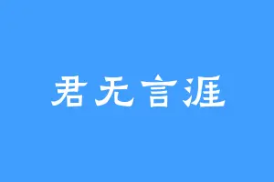 君无言涯