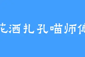 花洒扎孔喵师傅