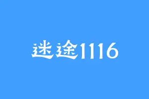 迷途1116