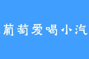 大葡萄爱喝小汽水