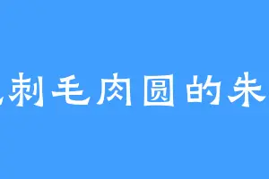 爱吃刺毛肉圆的朱一刀