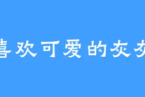 喜欢可爱的灰灰