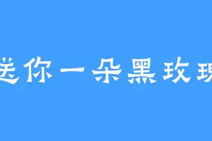 送你一朵黑玫瑰