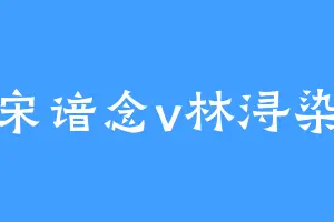 宋谙念v林浔染