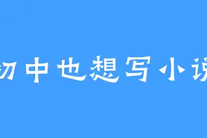 初中也想写小说