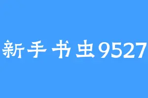 新手书虫9527