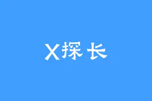 X探长