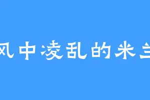风中凌乱的米兰