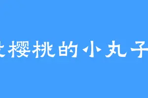 没樱桃的小丸子2