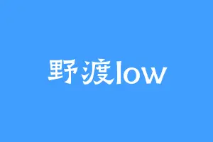 野渡low
