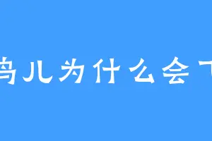 鸟儿为什么会飞