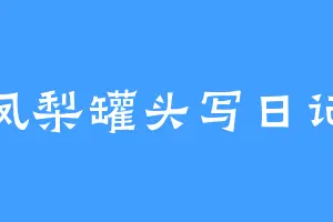 凤梨罐头写日记