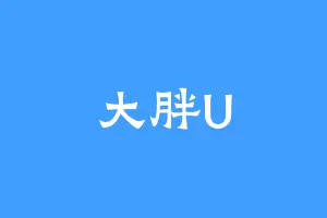 大胖U