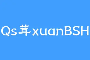 Qs茸xuanBSH