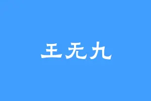 王无九