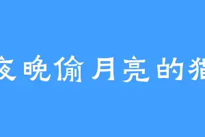 夜晚偷月亮的猫