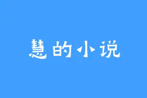 慧的小说