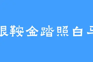 银鞍金踏照白马