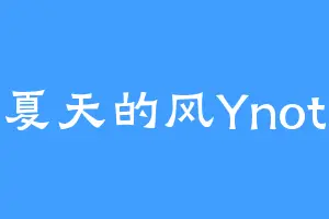 夏天的风Ynot