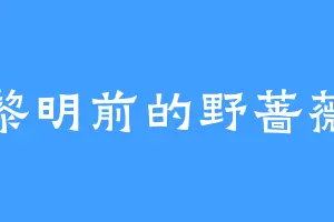 黎明前的野蔷薇