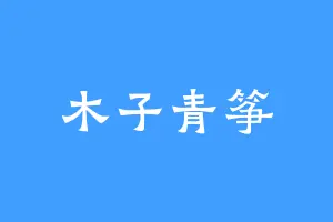 木子青筝